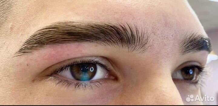 Мастер бровист