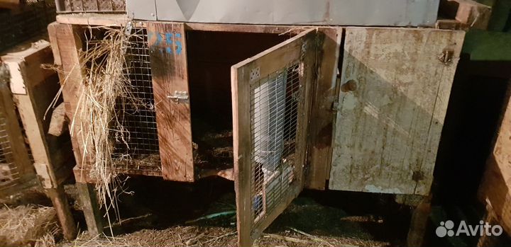 Клетка для кроликов