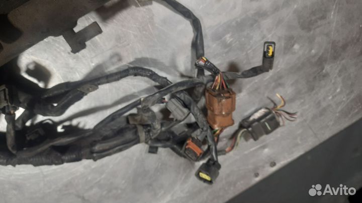 Всасывауший коллектор