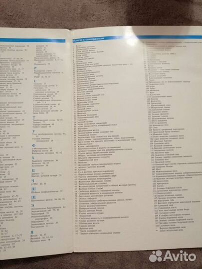 Ультразвуковая диагностика, базовый курс, Матиас Х