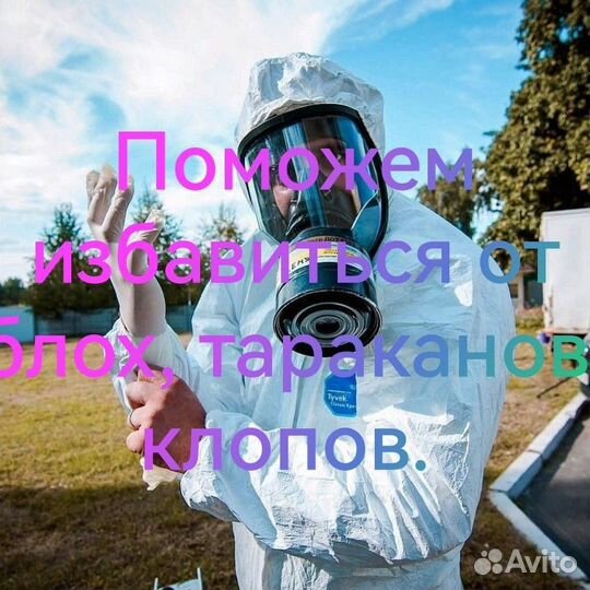 Дезинфекция. Уничтожение блох, клопов, тараканов