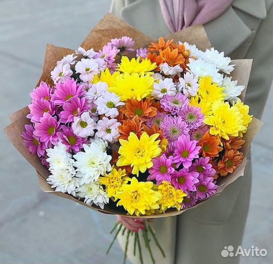 Хризантемы микс. Цветы. Букет