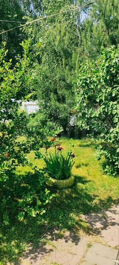 Дом 100 м² на участке 17 сот.