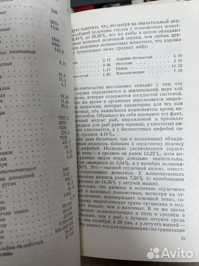 Коржуев П.А. Эволюция гравитация, невесомость