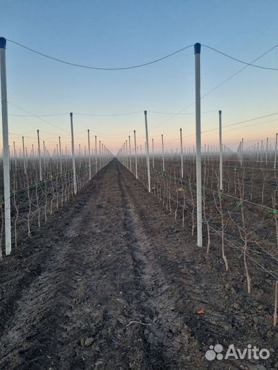 Столбы для забора бетонные