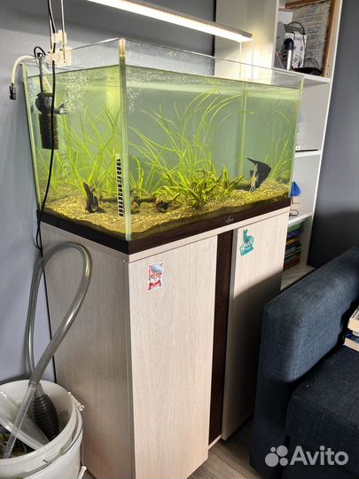 Аквариум на 1000 литров