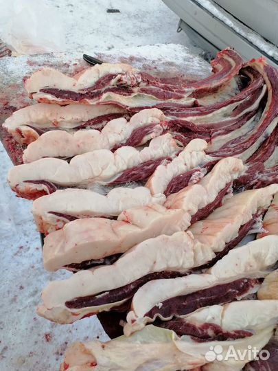 Продам мясо конина