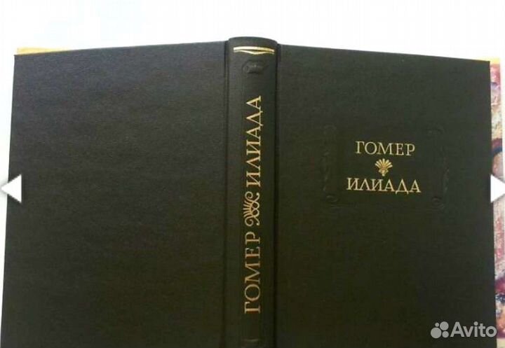 Перевод Гнедича Илиада