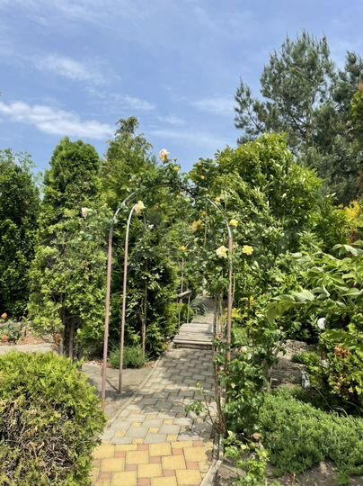 Дом 25 м² на участке 12 сот.