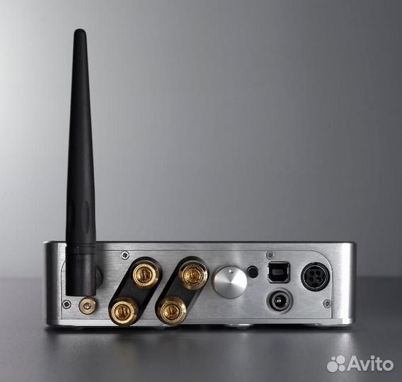 Интегральный усилитель Chord Electronics Maxx silv