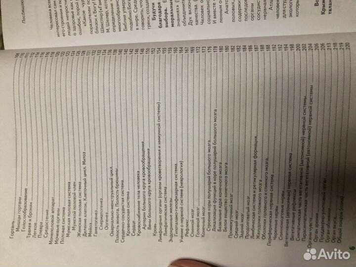 Анатомия человека