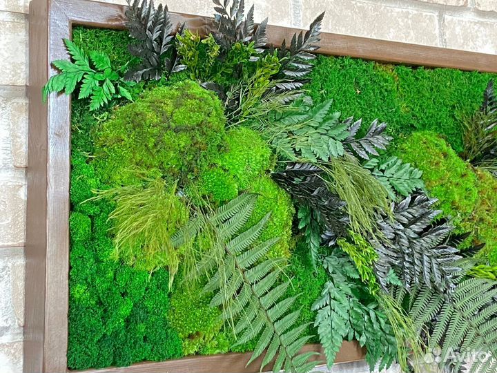 Мох стабилизированный оптом и в розницу