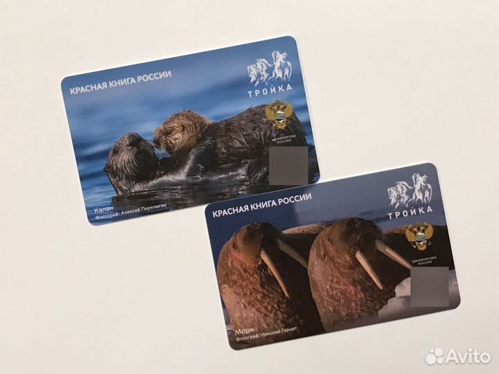 Карта метро Тройка Красная книга