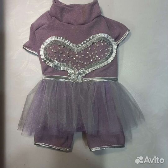 Костюм праздничный на собачку