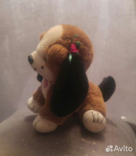 Маленькая собачка