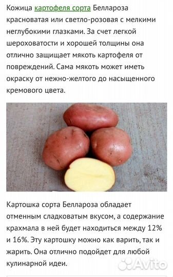 Картофель свежий урожай