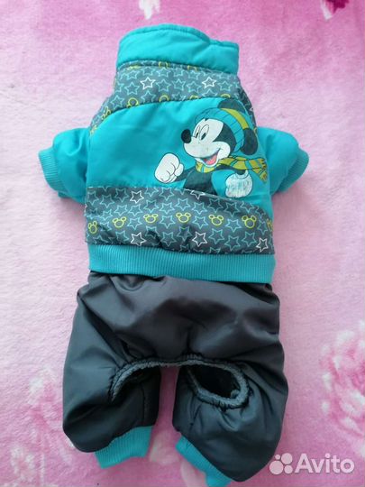 Одежда для собак