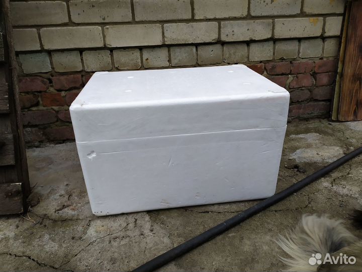 Термоконтейнер из пенопласта