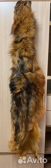 Шкура лисы