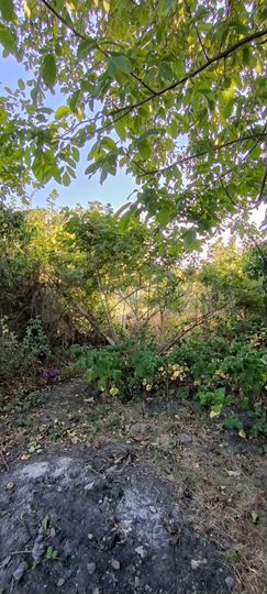 Участок 4,3 сот. (СНТ, ДНП)