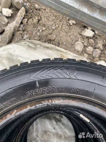 Maxxis Premitra Ice Nord NS5 185/65 R14