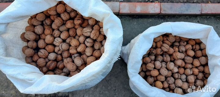 Грецкий орех в скорлупе