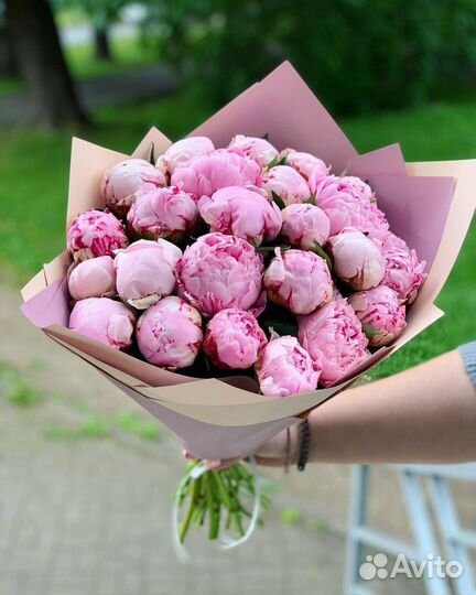 Пионы букеты