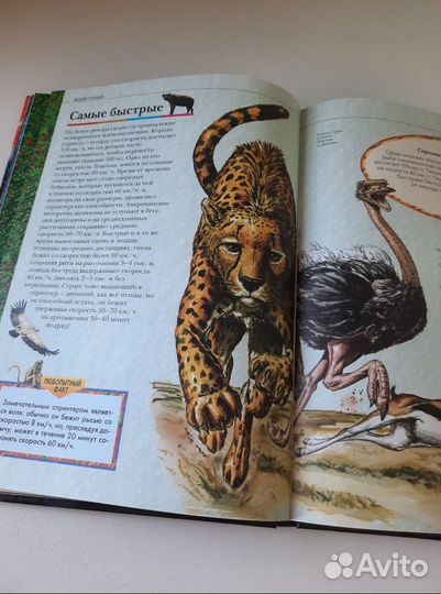 Большая книга рекордов