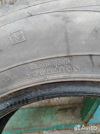 Rapid Ice Knight 195/65 R15