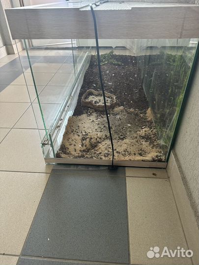 Террариум для рептилий