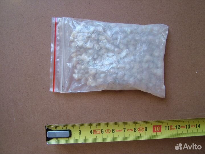 Ракушки для поделок или аквариума