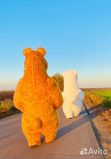 Белый Мишка и Бурый