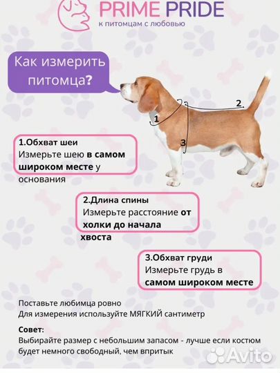 Толстовка для собак