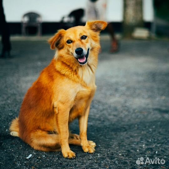 Фотограф Пермь и не только