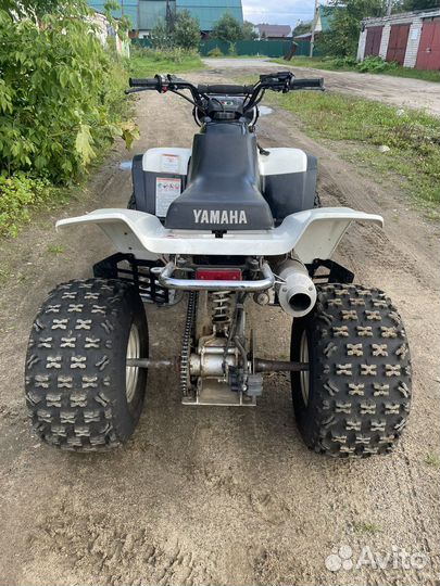 Yamaha Warrior 350