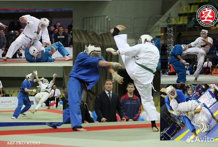 Кудо, Рукопашный бой, Смешанное единоборство