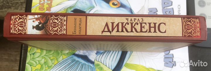 Книга Чарльза Диккенса «Большие надежды«