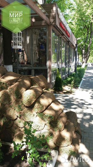 Рулонный газон