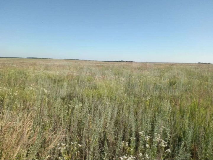 Участок 6 сот. (ИЖС)