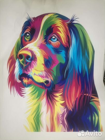 Плакаты постеры