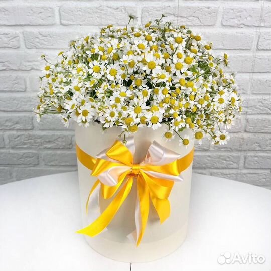 Букет ромашек Доставка