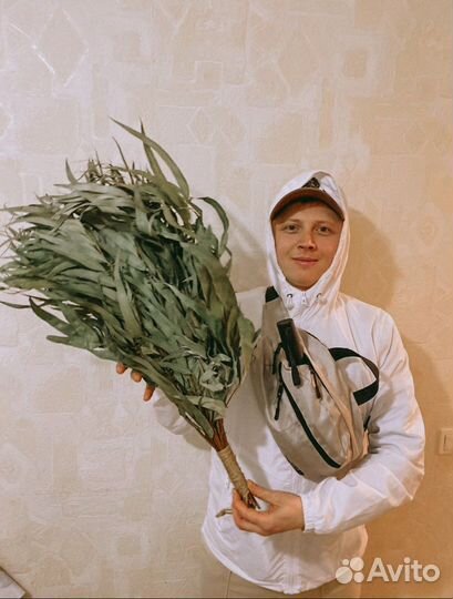 Эвкалиптовые веники оптом для бани