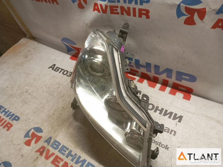 Фара передняя правая nissan fuga