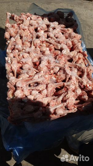 Трубчатая кость