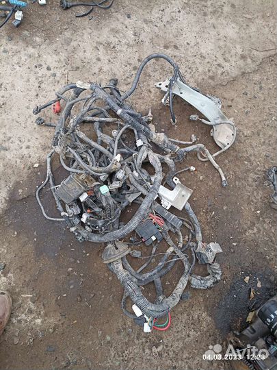 Проводка подкапотная Nissan Tiida 1.6 (hr16de)