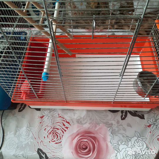 Клетка для попугая