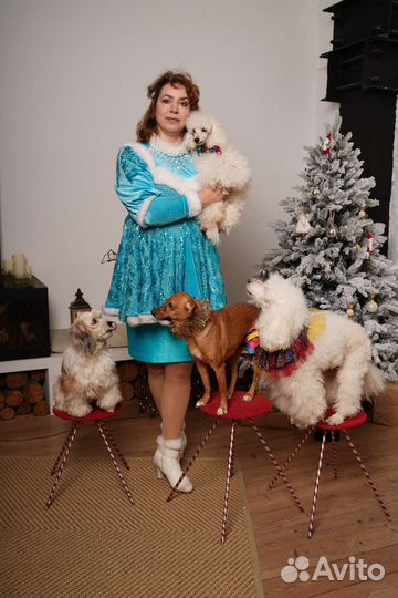 Дрессированные животные на праздник в Москве