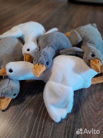 Гуси обнимуси