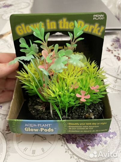 Растение в аквариум новый