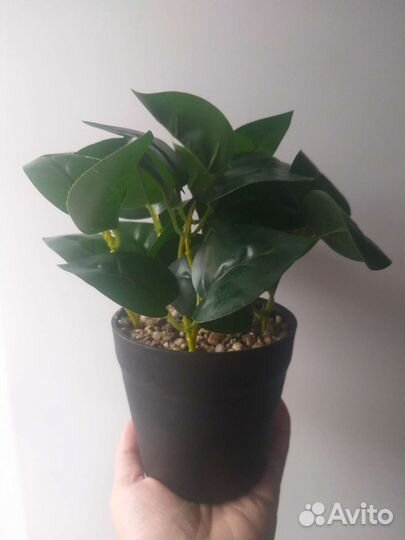 Декорация в горшочке из fix price